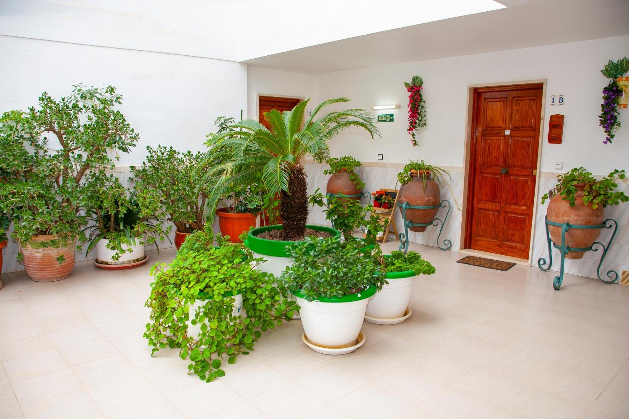 Atalaya Bosque Apartamentos Peguera Exteriér fotografie